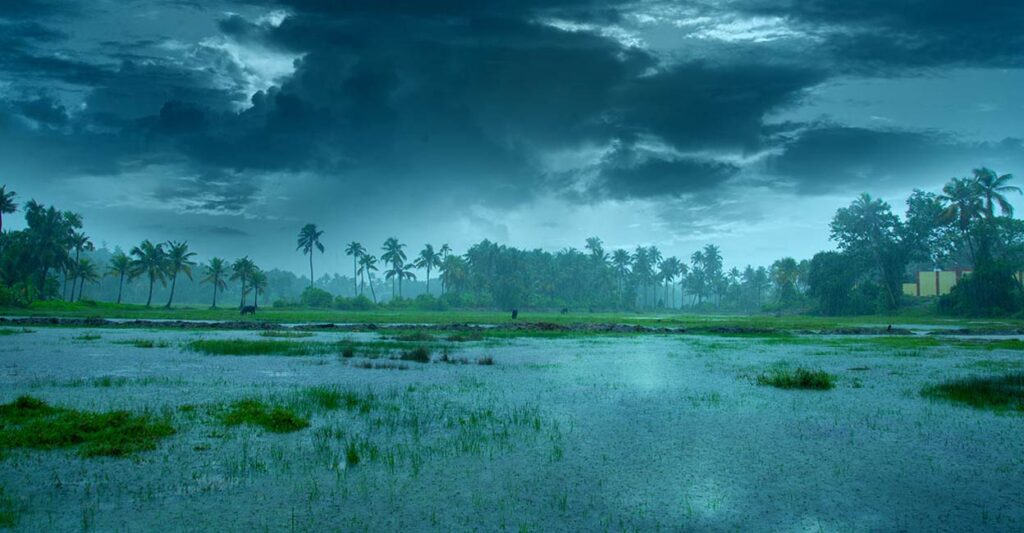 Best Time to Visit Kerala